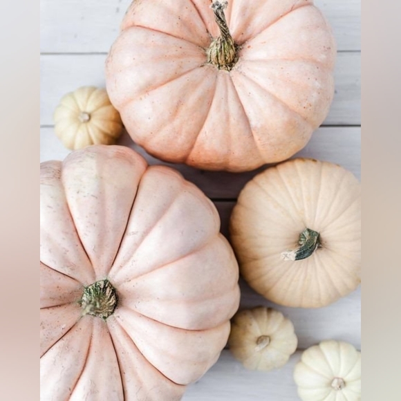 Instagrammmmm 🍂🍁 - Picture 9 of 12